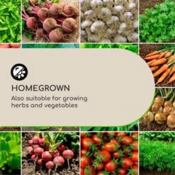 Solid Grow Rust Pflanzgefäß 80 X 38 X 38 Cm Fibreclay Rostfarben 13 Solid Grow Rust Pflanzgefäß 80 X 38 X 38 Cm Fibreclay Rostfarben -Wundervoller Gartenladen 10034788 yy 0003 logo Blumfeldt Solid Grow Rust Pflanzgefaess 80x38x38cm