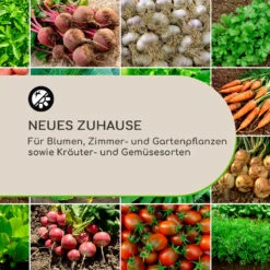 Winegrow Pflanzgefäß 52,5 X 31,5 Cm (ØxH) Leicht Fibreclay Grau 12 Winegrow Pflanzgefäß 52,5 X 31,5 Cm (ØxH) Leicht Fibreclay Grau -Wundervoller Gartenladen 10034811 de 0003 logo