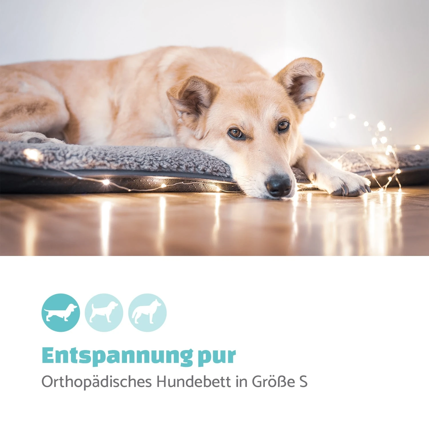 Finn Hundebett Waschbar Rutschfest Atmungsaktiv PE / Vlies Größe S 4 Finn Hundebett Waschbar Rutschfest Atmungsaktiv PE / Vlies Größe S – Bild 2