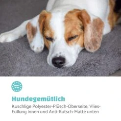 Finn Hundebett Waschbar Rutschfest Atmungsaktiv PE / Vlies Größe S 10 Finn Hundebett Waschbar Rutschfest Atmungsaktiv PE / Vlies Größe S -Wundervoller Gartenladen 10037524 de 0003 logo