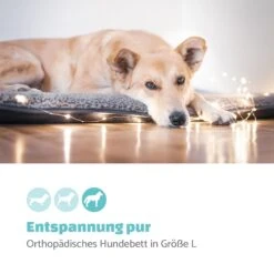 Finn Hundebett Waschbar Rutschfest Atmungsaktiv PE / Vlies Größe L -Wundervoller Gartenladen 10037526 de 0002 logo
