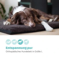 Luna Hundebett Waschbar Orthopädisch Rutschfest Memory-Schaum Größe L 10 Luna Hundebett Waschbar Orthopädisch Rutschfest Memory-Schaum Größe L -Wundervoller Gartenladen 10037547 de 0002 logo