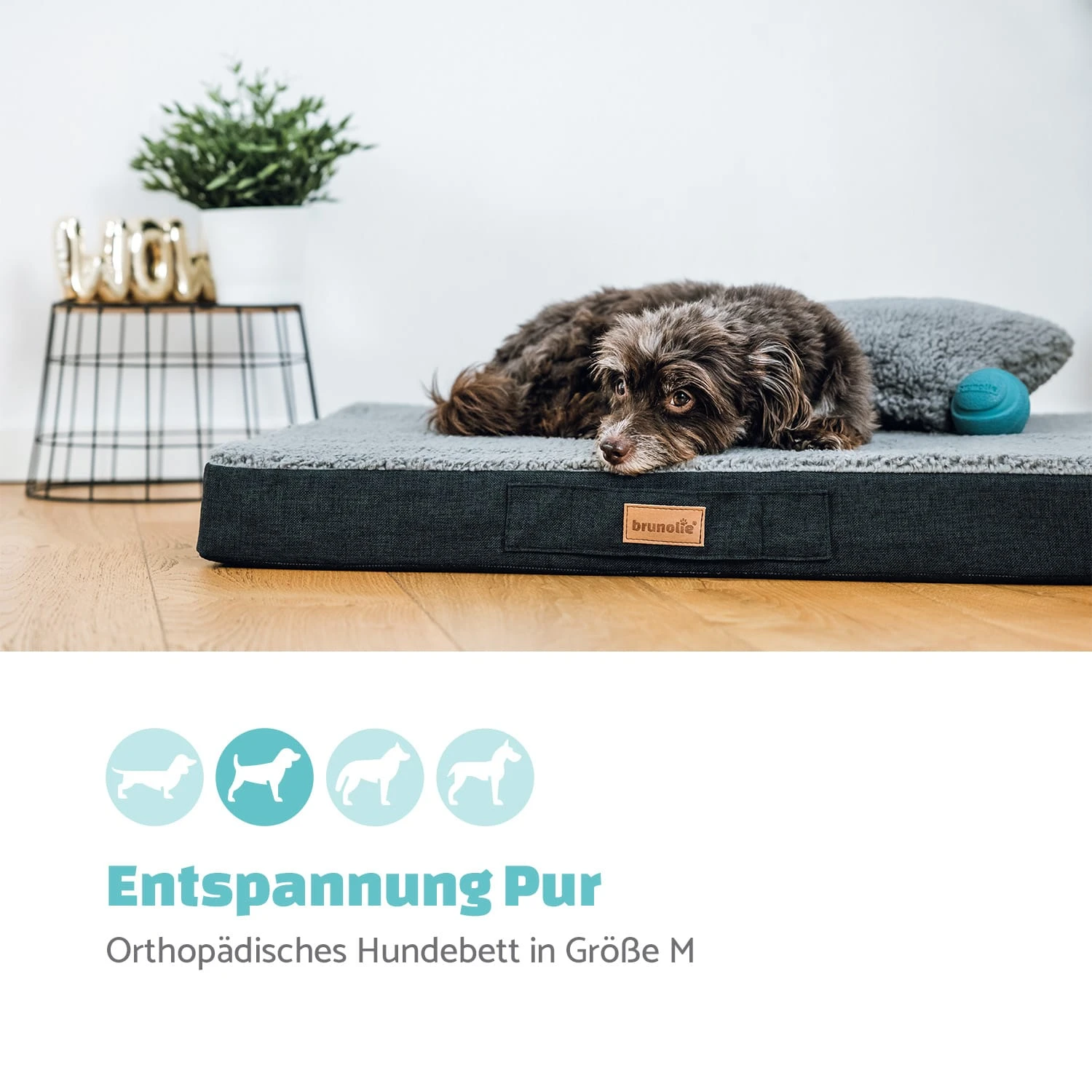 Balu Hundebett Waschbar Orthopädisch Rutschfest Memory-Schaum Größe M 4 Balu Hundebett Waschbar Orthopädisch Rutschfest Memory-Schaum Größe M – Bild 2