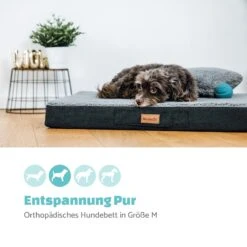 Balu Hundebett Hundekissen | Waschbar | Orthopädisch | Rutschfest | Atmungsaktiver Memory-Schaum | Größe M (79 X 8 X 60 Cm) -Wundervoller Gartenladen 10037565 de 0002 logo