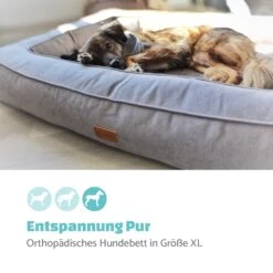 Bruno Hundebett Hundekorb | Waschbar | Orthopädisch | Rutschfest | Atmungsaktiv | Memory-Schaum | Größe XL (120 X 17 X 85 Cm) 10 Bruno Hundebett Hundekorb | Waschbar | Orthopädisch | Rutschfest | Atmungsaktiv | Memory-Schaum | Größe XL (120 X 17 X 85 Cm) -Wundervoller Gartenladen 10037588 de 0002 logo