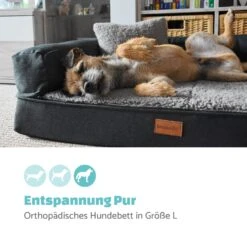 Odin Hundesofa Waschbar Orthopädisch Rutschfest Memory-Schaum Größe L -Wundervoller Gartenladen 10037597 de 0002 logo