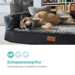 Odin Hundesofa Hundematte | Waschbar | Orthopädisch | Rutschfest | Atmungsaktiv | Memory-Schaum | Größe S (80 X 10 X 60 Cm) 10 Odin Hundesofa Hundematte | Waschbar | Orthopädisch | Rutschfest | Atmungsaktiv | Memory-Schaum | Größe S (80 X 10 X 60 Cm) -Wundervoller Gartenladen 10037601 de 0002 logo