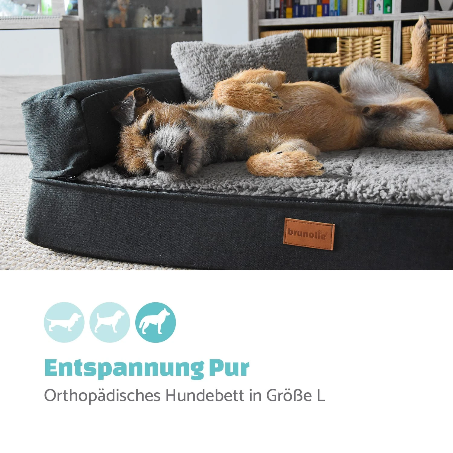 Odin Hundesofa Hundematte | Waschbar | Orthopädisch | Rutschfest | Atmungsaktiv | Memory-Schaum | Größe L (120 × 12 × 80 Cm) 4 Odin Hundesofa Hundematte | Waschbar | Orthopädisch | Rutschfest | Atmungsaktiv | Memory-Schaum | Größe L (120 × 12 × 80 Cm) – Bild 2