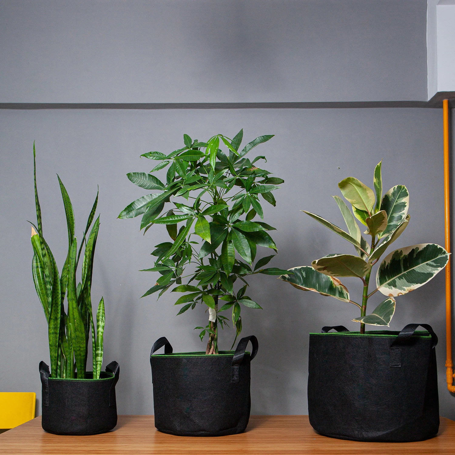 Pflanzsack Set 5 Stück 5 Liter Vlies Mit Henkeln 4 Pflanzsack Set 5 Stück 5 Liter Vlies Mit Henkeln – Bild 2