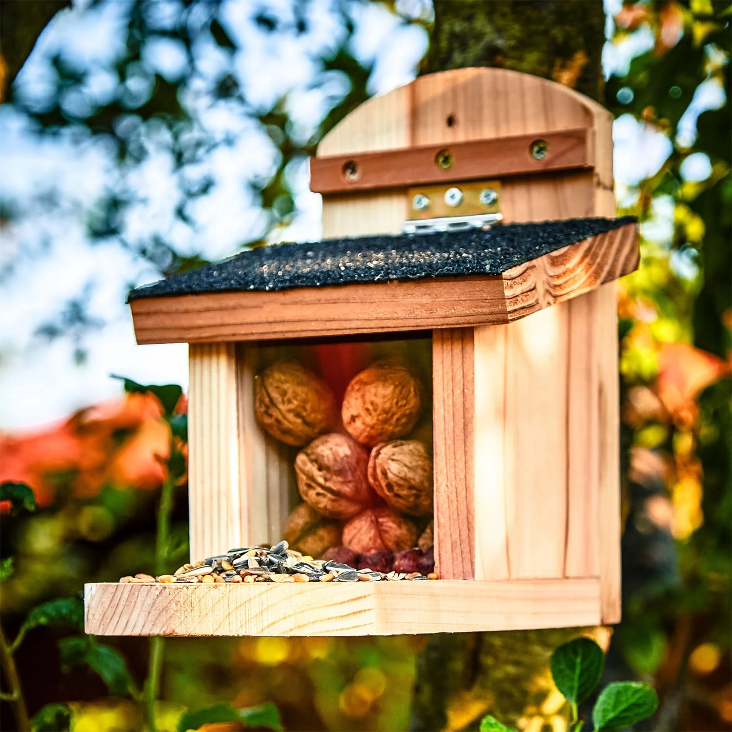 Futterhaus Für Eichhörnchen Flachdach Zedernholz Bitumen Unbehandelt 5 Futterhaus Für Eichhörnchen Flachdach Zedernholz Bitumen Unbehandelt – Bild 3