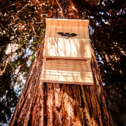 Fledermaushaus Nistkasten Überwinterungshilfe Ganzjährig Kiefer -Wundervoller Gartenladen 10038132 yy 0005 logo