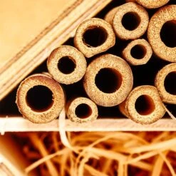 Bambusröhrchen 70 Stück Je 15 Cm Länge Holzfarben 14 Bambusröhrchen 70 Stück Je 15 Cm Länge Holzfarben -Wundervoller Gartenladen 10038148 yy 0006 logo