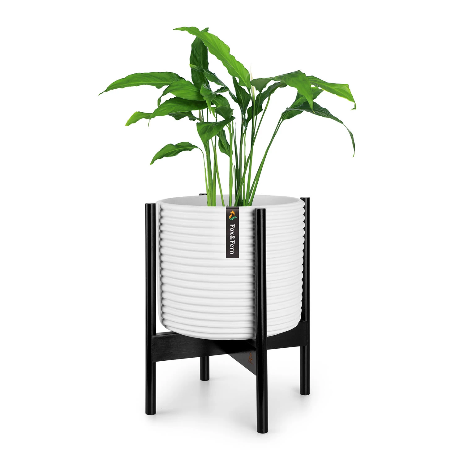 Zeist Pflanzenhalter 2 Höhen Kombinierbar Steck-Design Naturbelassen 3 Zeist Pflanzenhalter 2 Höhen Kombinierbar Steck-Design Naturbelassen