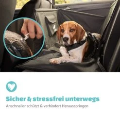 Rocky Hundeautositz Polyester Anschnallgurt Faltbar Flexibel -Wundervoller Gartenladen 10039048 de 0002 logo