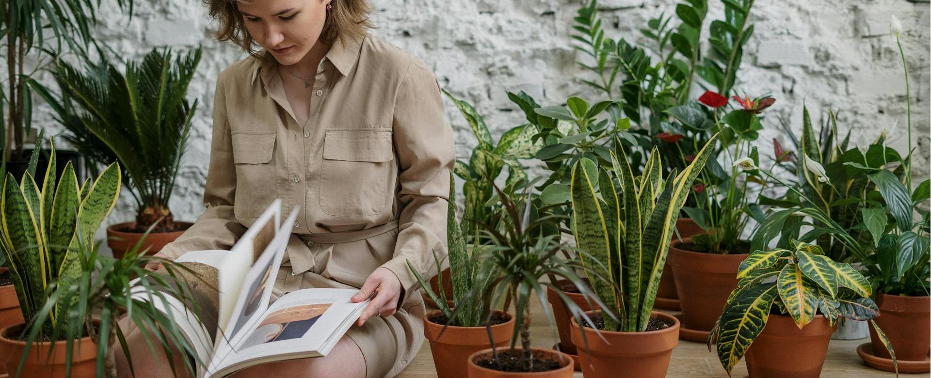 Wundervoller Gartenladen 18 Wundervoller Gartenladen -Wundervoller Gartenladen pexels cottonbro 4503737